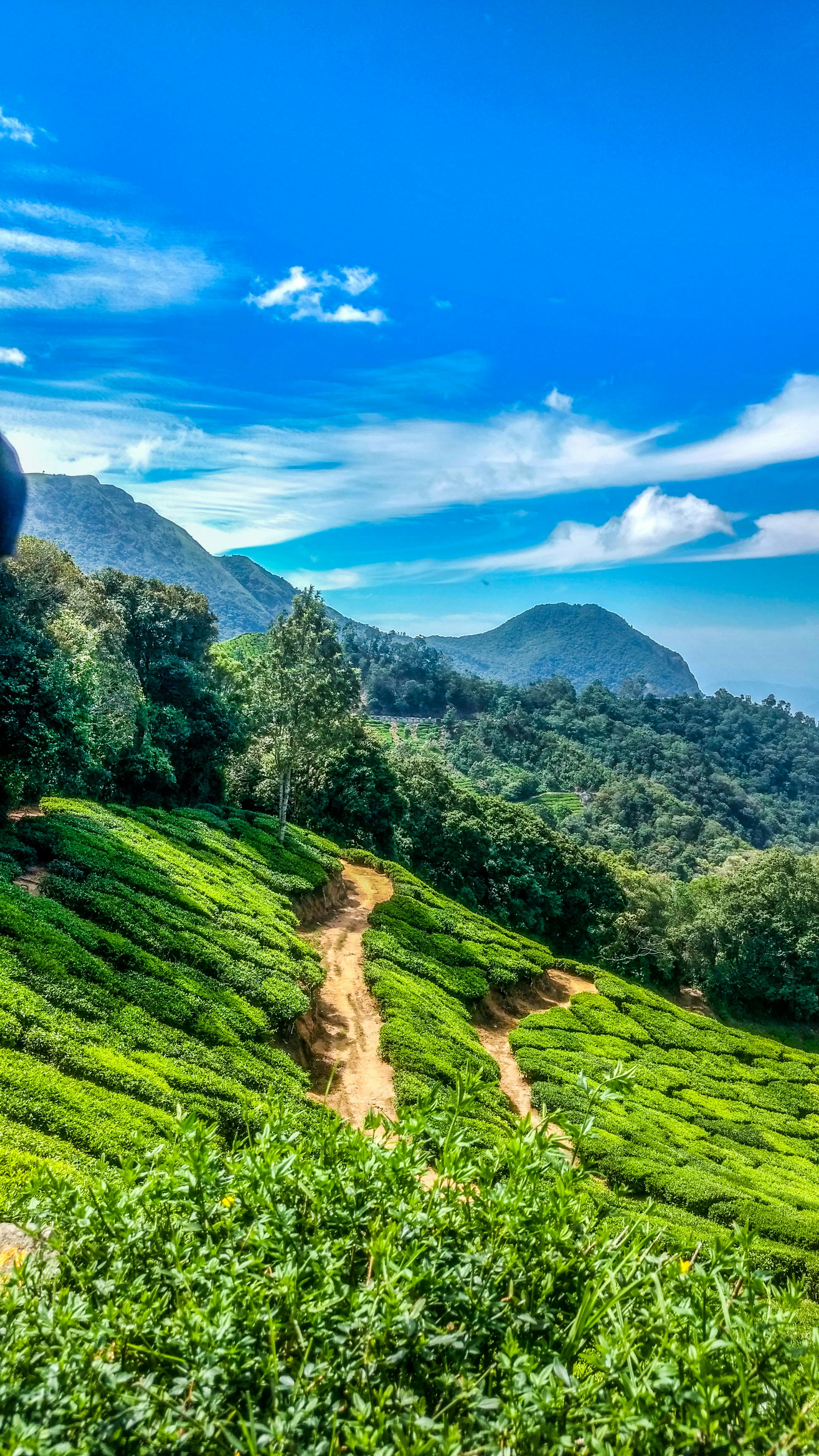 Munnar Hill Station