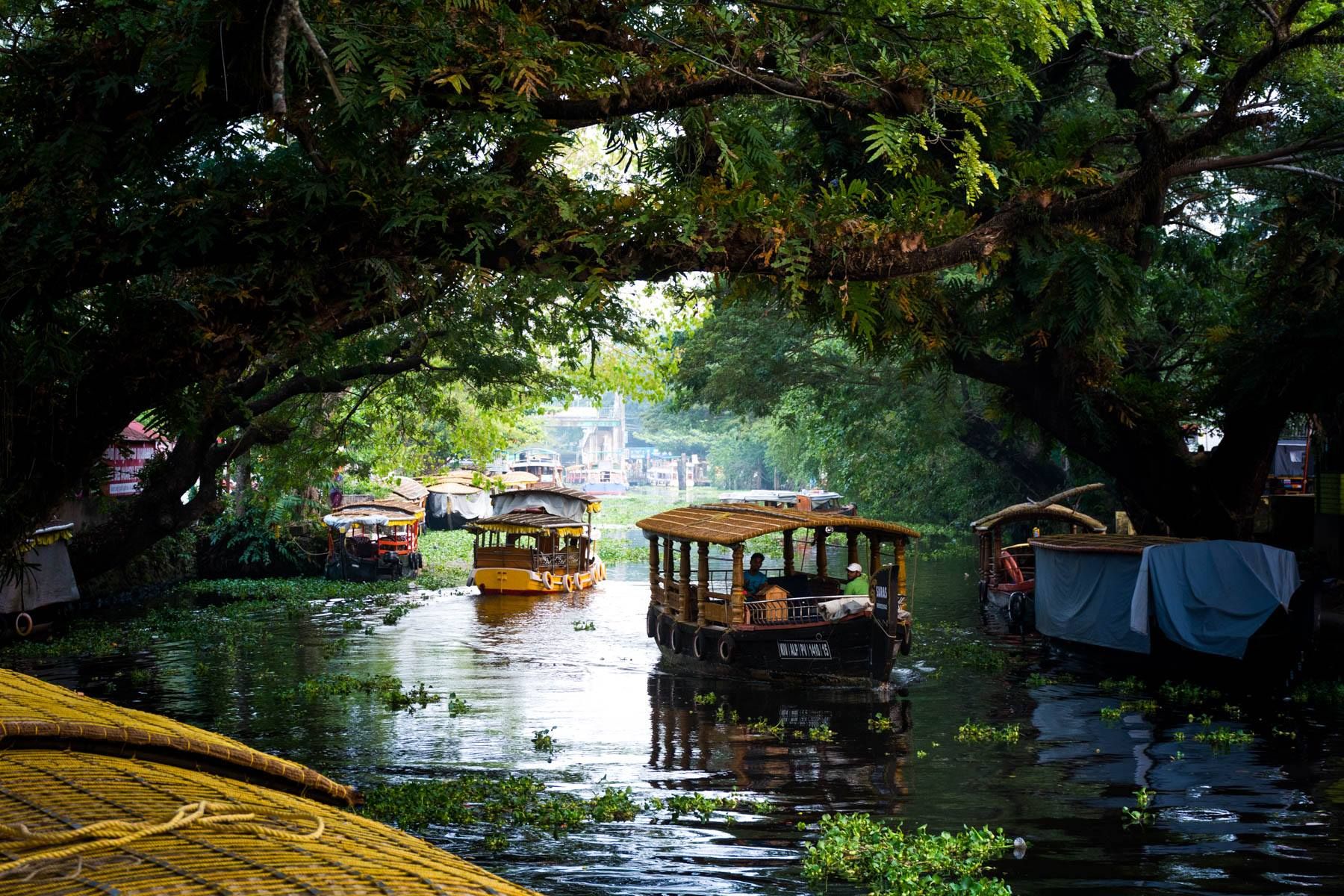 Alappuzha Backwaters
