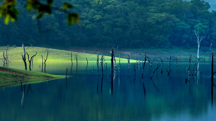 Thekkady Periyar Wildlife Sanctuary