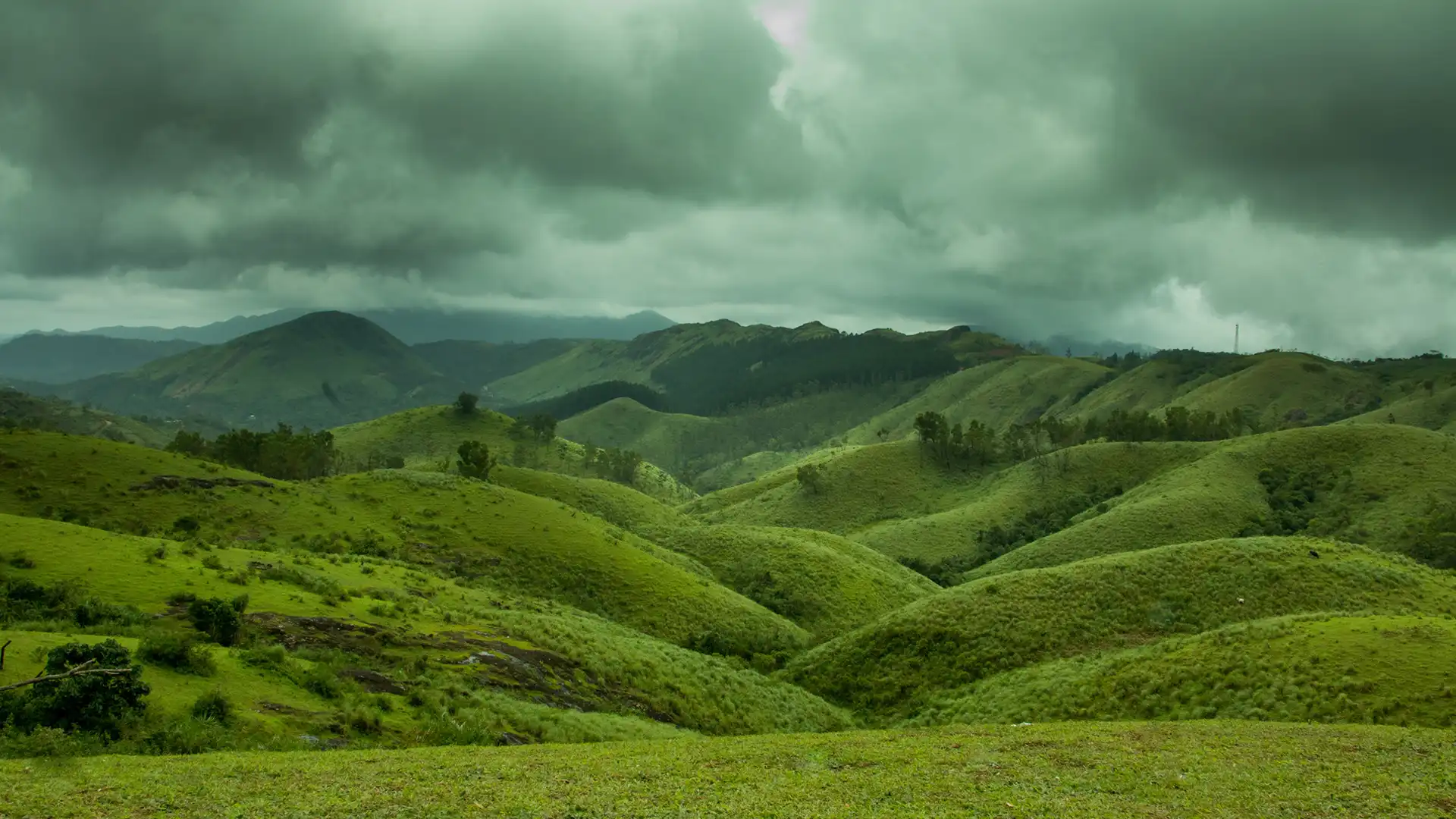 Vagamon Meadows Trek